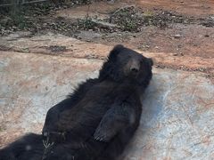 -昆明动物园