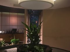 -青藤茶馆(凤起路店)
