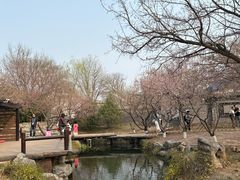 -春风习习