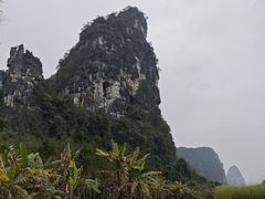 -明仕田园