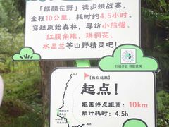-龙苍沟森林公园