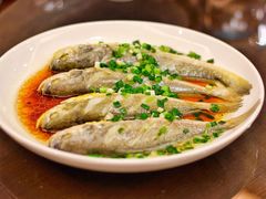 臭黄鱼-富临轩私房菜(集庆门大街店)
