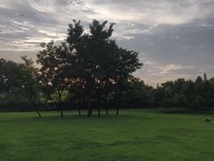 -北坞公园