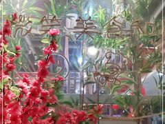 -苗小坛酸汤鱼(酒仙桥店)