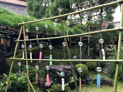 -中村藤吉(本店)
