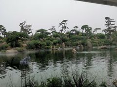 -罗红摄影艺术馆