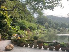 -深圳仙湖植物园