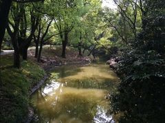 -汇龙潭