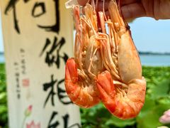 -七的湖·晚芳亭·阳澄湖农家菜·大闸蟹(莲花岛店)