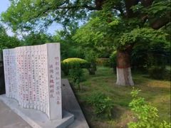 -大槐树寻根祭祖园