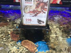 水产区-盒马鲜生(岭南新世界店)