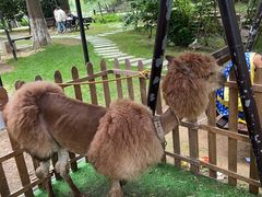 -宝岩生态观光园