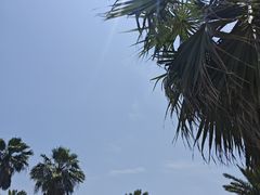 -椰风寨