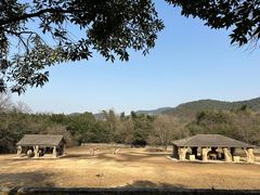 -杭州野生动物世界