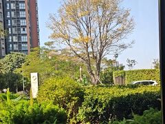 -星河吉酒店-BOND大堂吧·咖啡·简餐