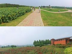 -君乐宝优致牧场