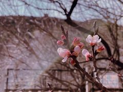 -居庸关长城