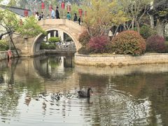 -雅达·阳羡溪山小镇中心