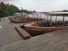 -东寨港红树林旅游区