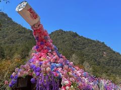 -龙湾潭国家森林公园