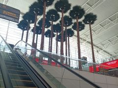 -广州白云国际机场