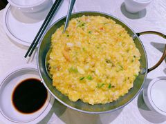 -丁老爷子苏香圆