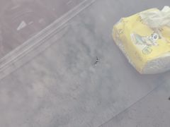 -鲨鱼皮汽车凹陷玻璃修复(静安店)