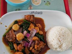 黄焖鸡米饭-上海野生动物园老虎餐厅