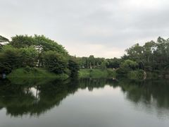 -王借岗森林公园