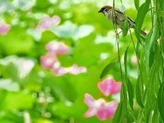 -颐和园