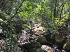 -龙岩森林水乡景区