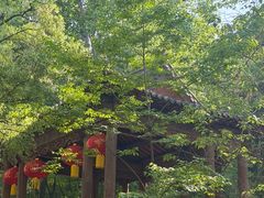 -井塘古村