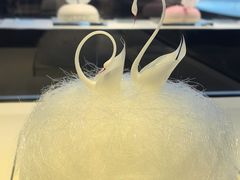 -BLACKSWAN黑天鹅(环球店)