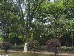 -长田漾湿地公园