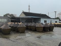 -苏州市吴中区光福窑上花果蜜饯厂