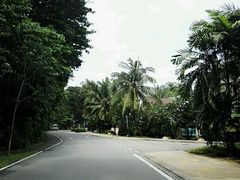 -圣淘沙天际线斜坡滑车
