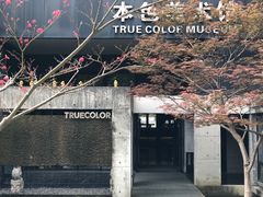 -苏州本色美术馆