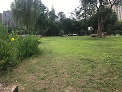 -南翔镇银翔湖公园