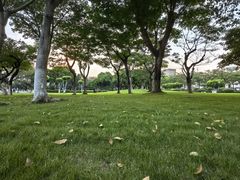 -日东公园