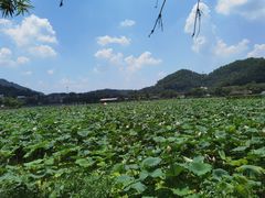 -红山村