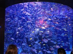 -成都浩海立方海洋公园