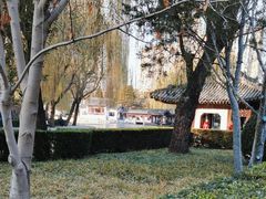 -团结湖公园