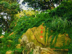 -青岛海滨风景区小鱼山