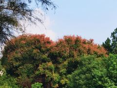 -花洲书院