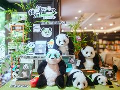-轩客会(熊猫书店)
