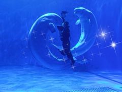 -多彩贵州城极地海洋世界