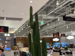-卡朋西餐(大信新都汇店)