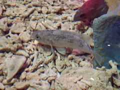 -青岛嘉年华主题乐园