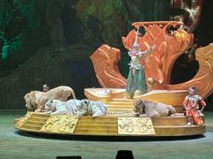 -广州长隆国际大马戏