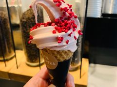 -喜茶(上海打浦桥日月光gelato lab+店)